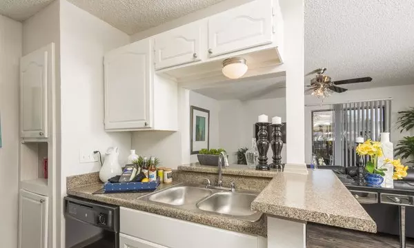 1076 Mearns Meadow Boulevard, Austin, TX 78758 photo 5