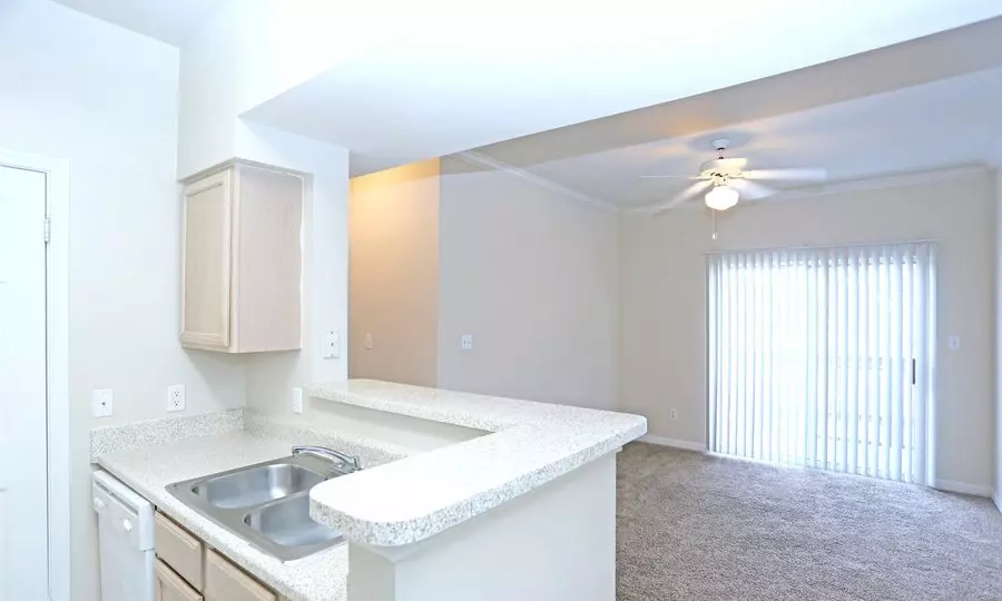 12124 Walnut Park Crossing, Austin, TX 78753 photo 5