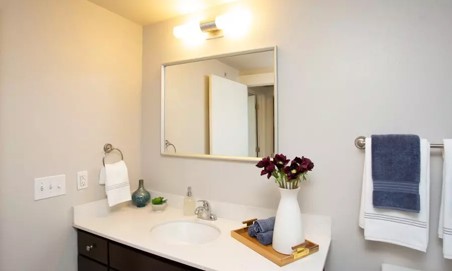 1225 South Lamar Boulevard, Austin, TX 78704 photo 2