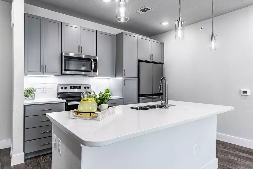 1309 Showbox Street, Pflugerville, TX 78660 photo 5