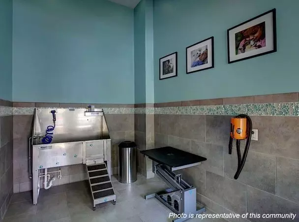 1801 East 51st Street, Austin, TX 78723 photo 5