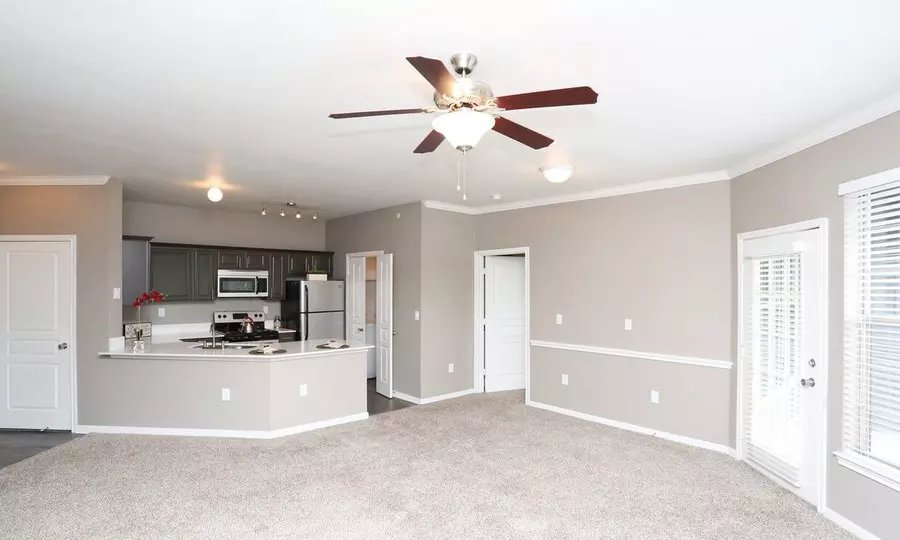 3507 Shoreline Drive, Austin, TX 78728 photo 2