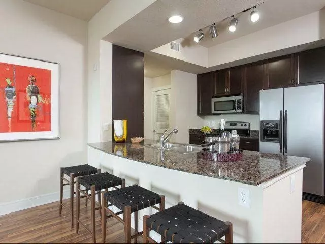 42 Rainey Street, Austin, TX 78701 photo 4