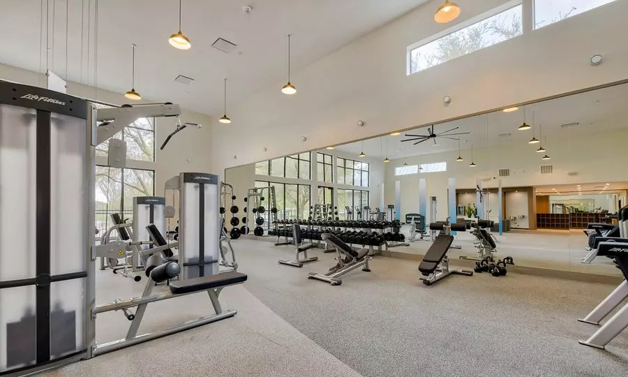 4707 Staggerbrush Road, Austin, TX 78749 photo 4