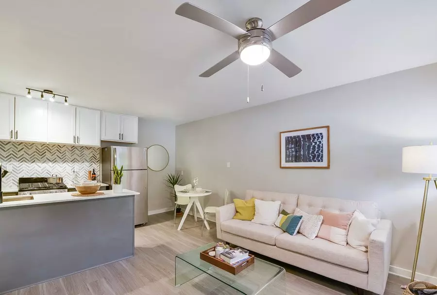 706 Hearn Street, Austin, TX 78703 photo 4