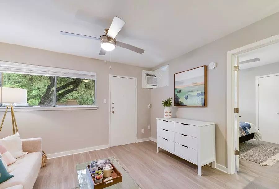 706 Hearn Street, Austin, TX 78703 photo 3
