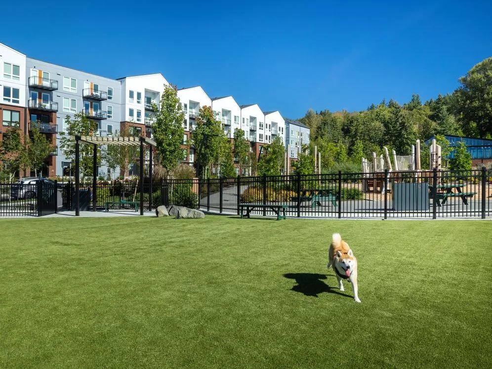 Avalon Bothell Commons photo 5