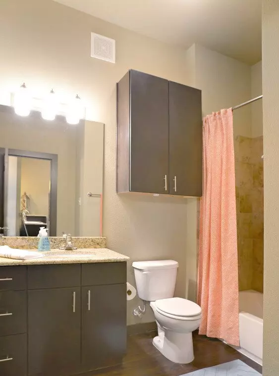 2907 Shoreline Drive, Denton, TX 76210 photo 4