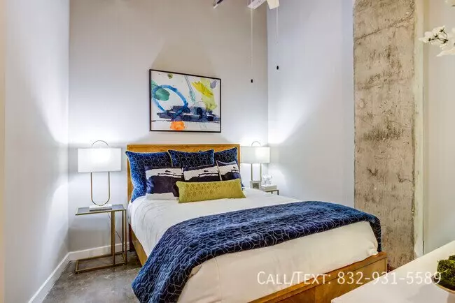 2411 Dixie Drive, Houston, TX 77021 photo 3