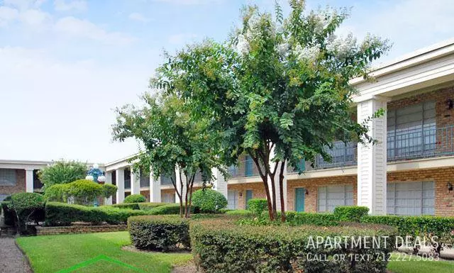 6 Gulfton Drive @ Alder Drive, Houston, TX 77081 photo 2