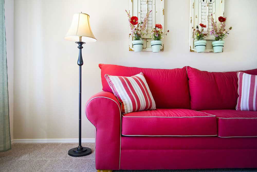 The Vireo Apartments photo 2