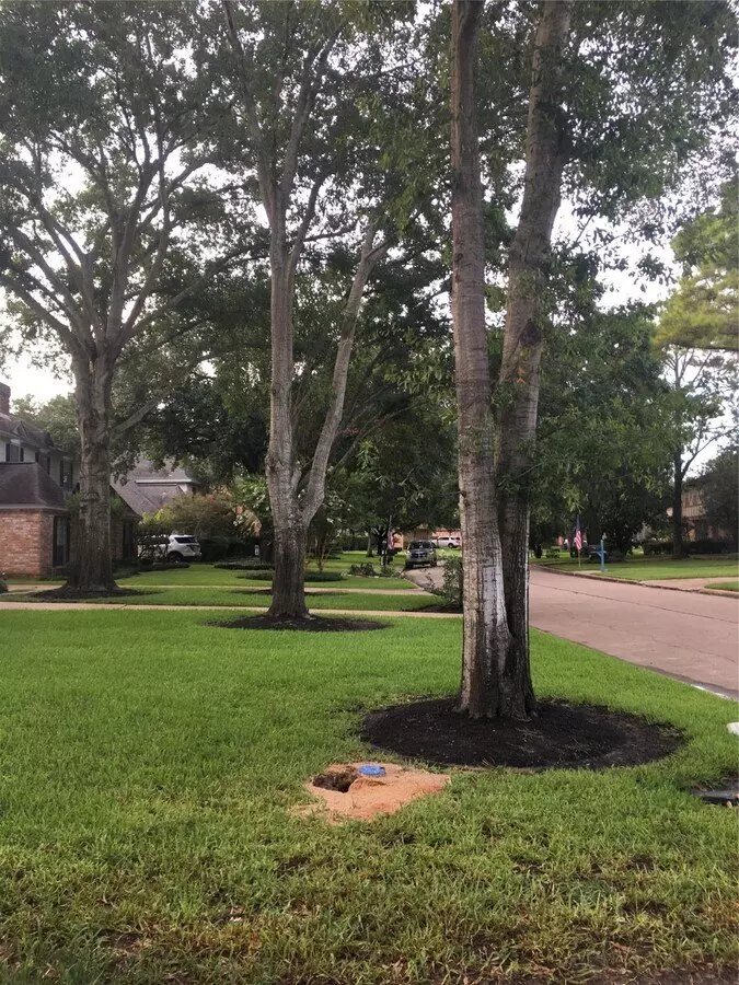 614 Ellingham Drive, Katy, TX 77450 photo 2