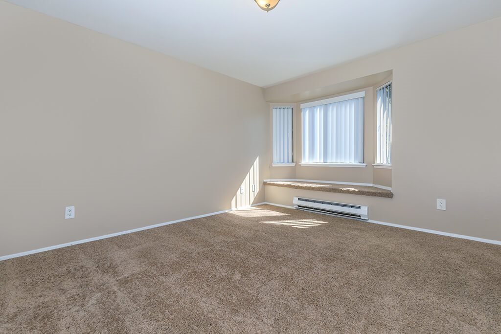 Alvista 240 photo 4