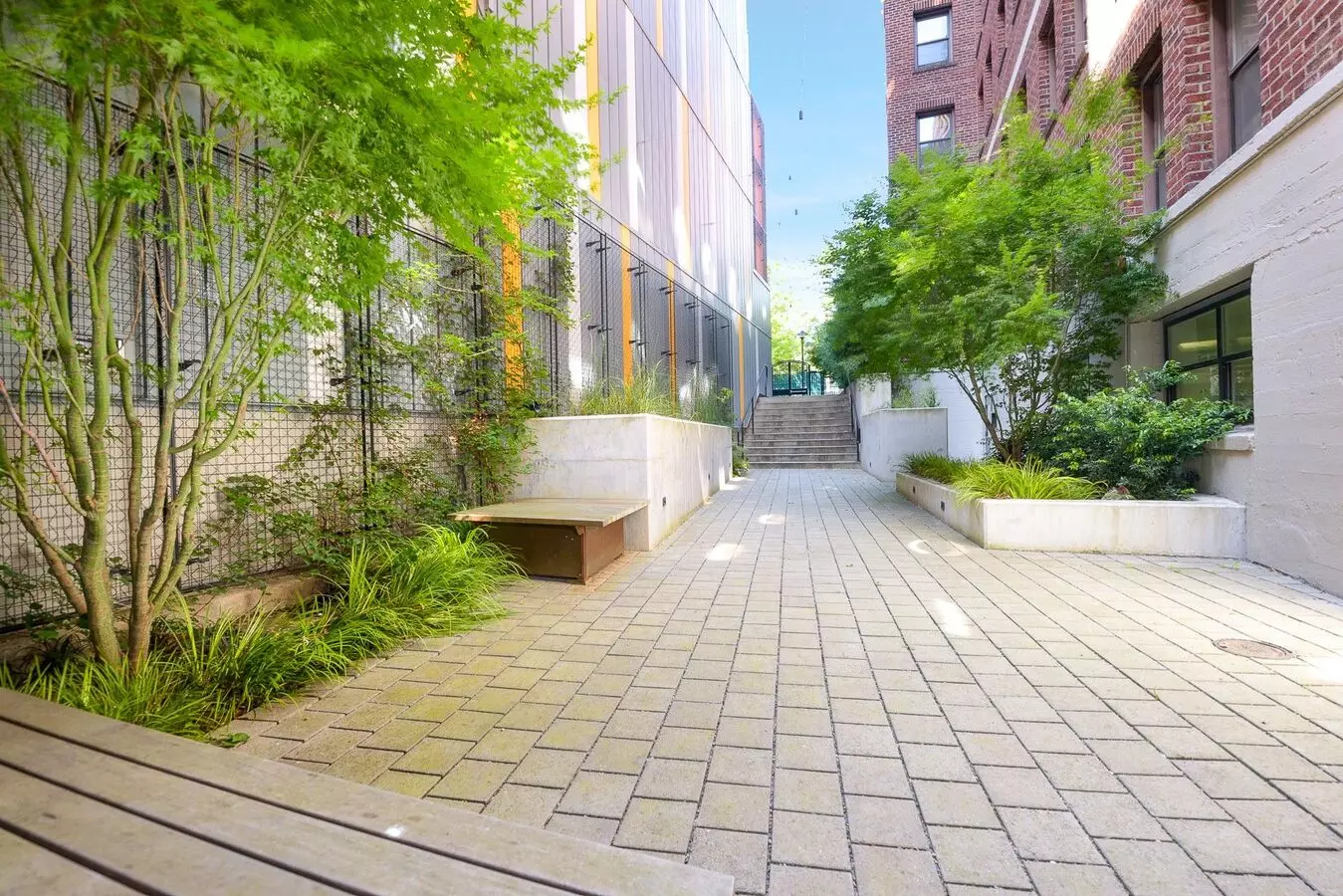 Fionia Apartments photo 5