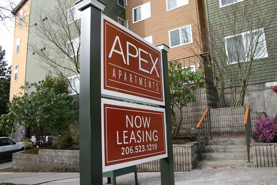 Apex photo 3