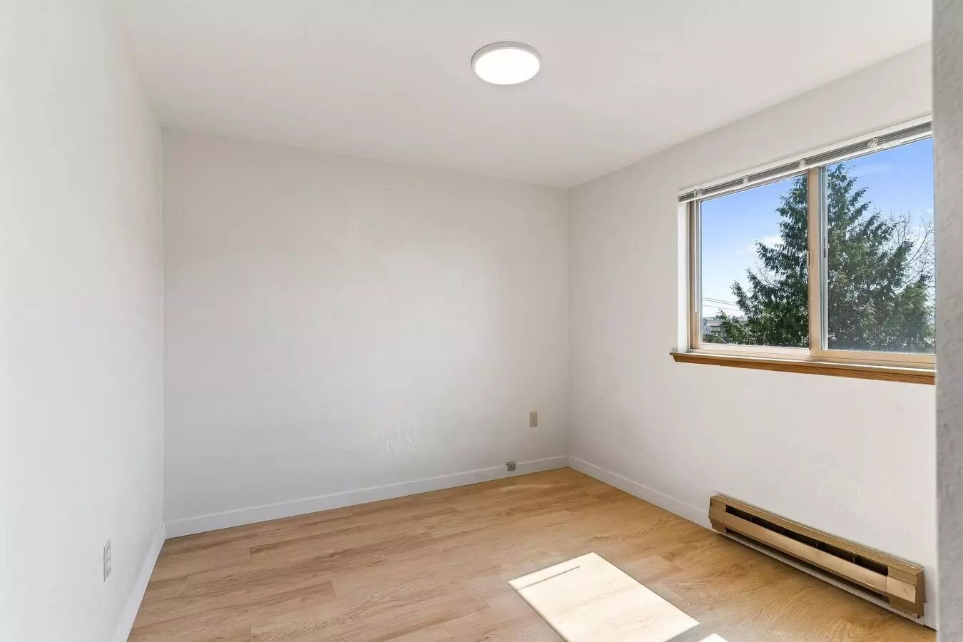 Maplewood Apartments photo 3