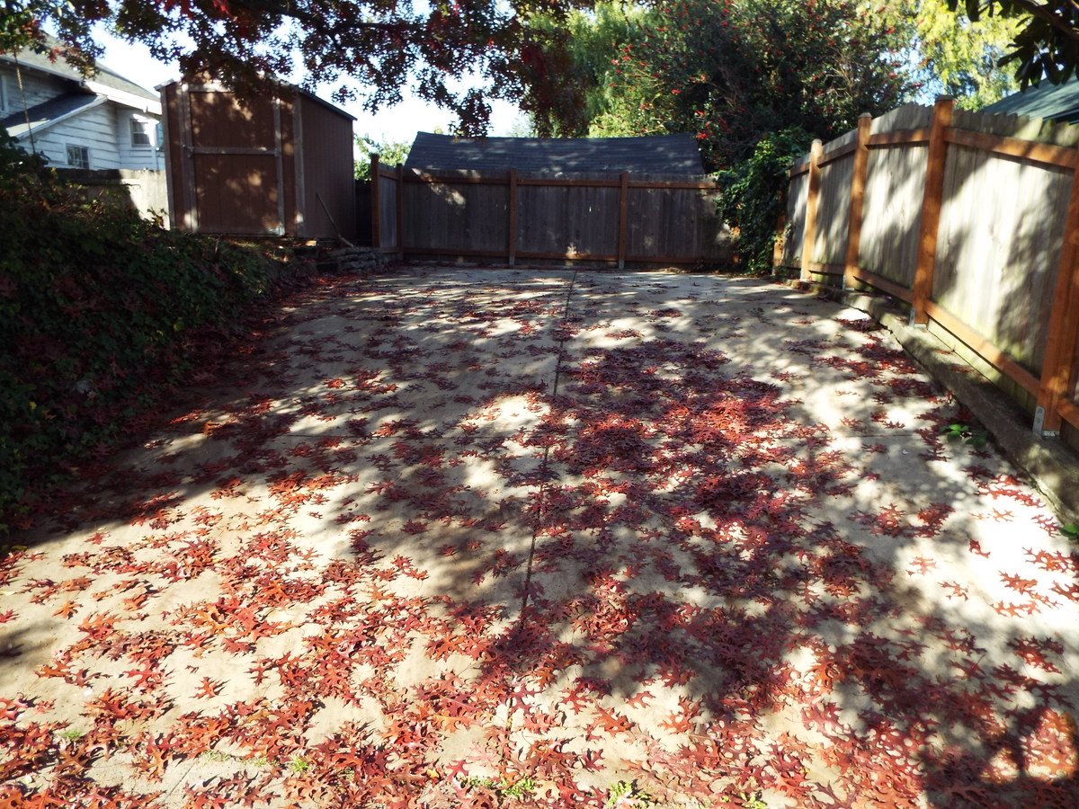5302 8th Avenue Northeast, Seattle, WA 98105 photo 2