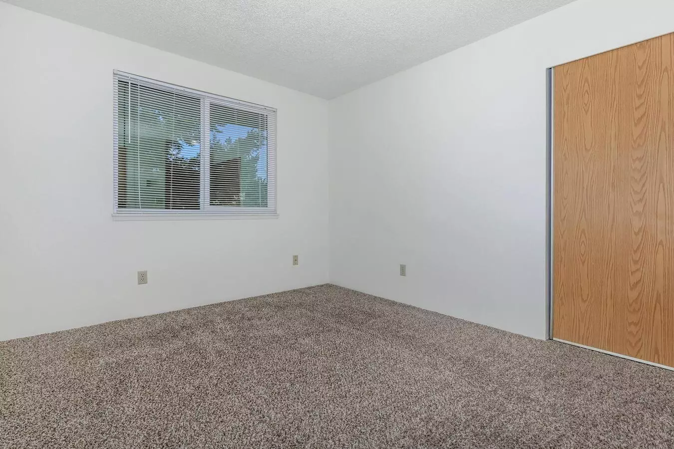 Southwood Apartments photo 4