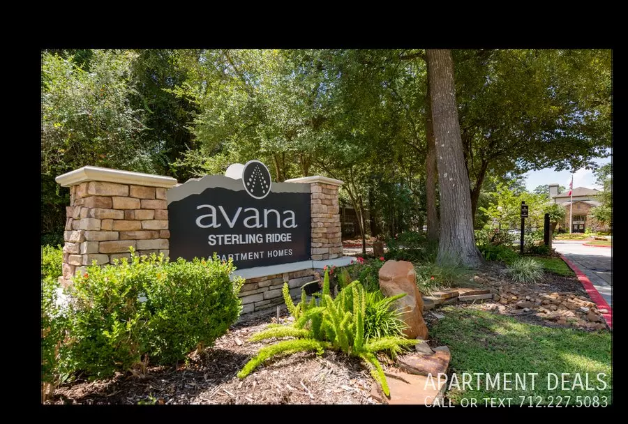8 Galway Place, Spring, TX 77382 photo 4