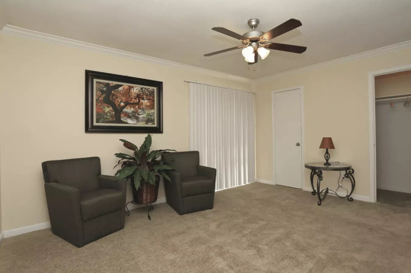 Spring Oaks/woodbriar photo 3
